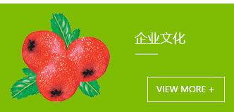 青欣食品企业文化